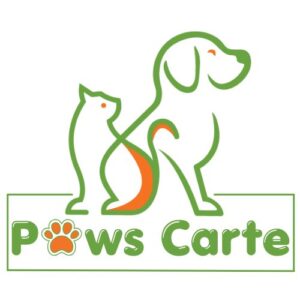 Doctor Pet Cat Litter Baby Powder 10L