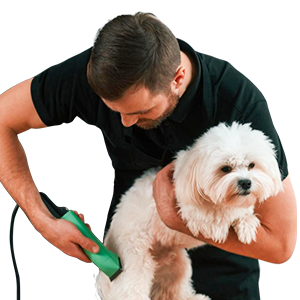 Deluxe Grooming for Dogs (Small)
